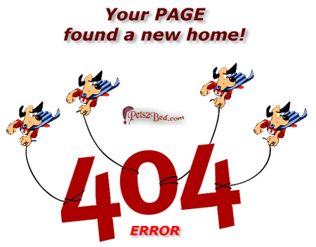 petsbed 404 error page message