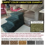 Carpet Color Variation details
