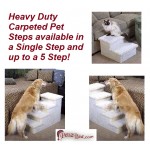 Single or 1-step carpeted dog step model with dog