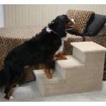 Big Triple Carpeted Dog Stairs