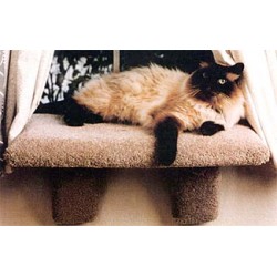 Hero shot of cat on installed window perch cat window perch installed with cat