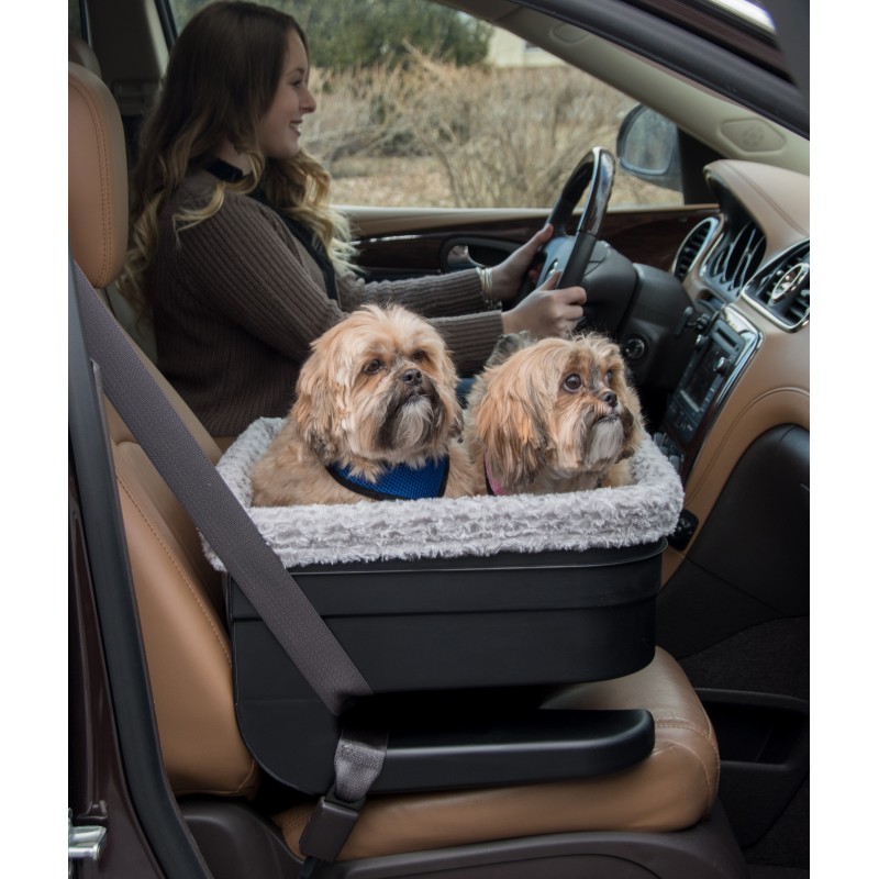 dog car baskets