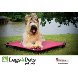 Premium Weave Elevated Pet Bed with dogs Dogs on Premium Weave Elevated Pet Beds