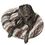 Puppy Hugger C-Shape Luxury Designer Custom made dog bed - animal prints with dog