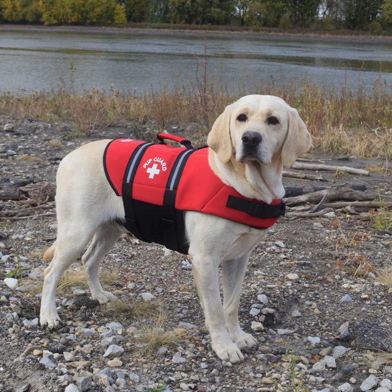 Travelin K9 Pup Guard Adjustable Strap Waterproof Dog Life Jacket Large