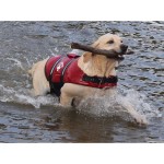 Travelin'K9 Pup Guard Dog Life Jacket on Dog playing fetch